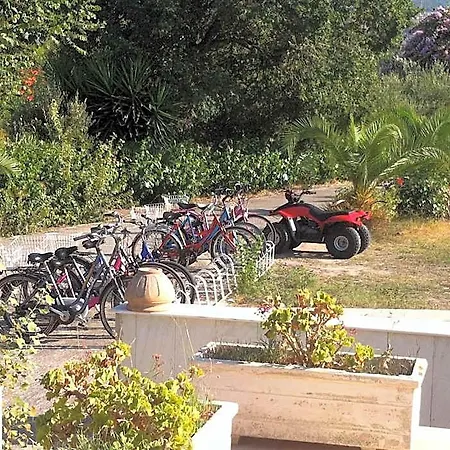 Olgas Paradise